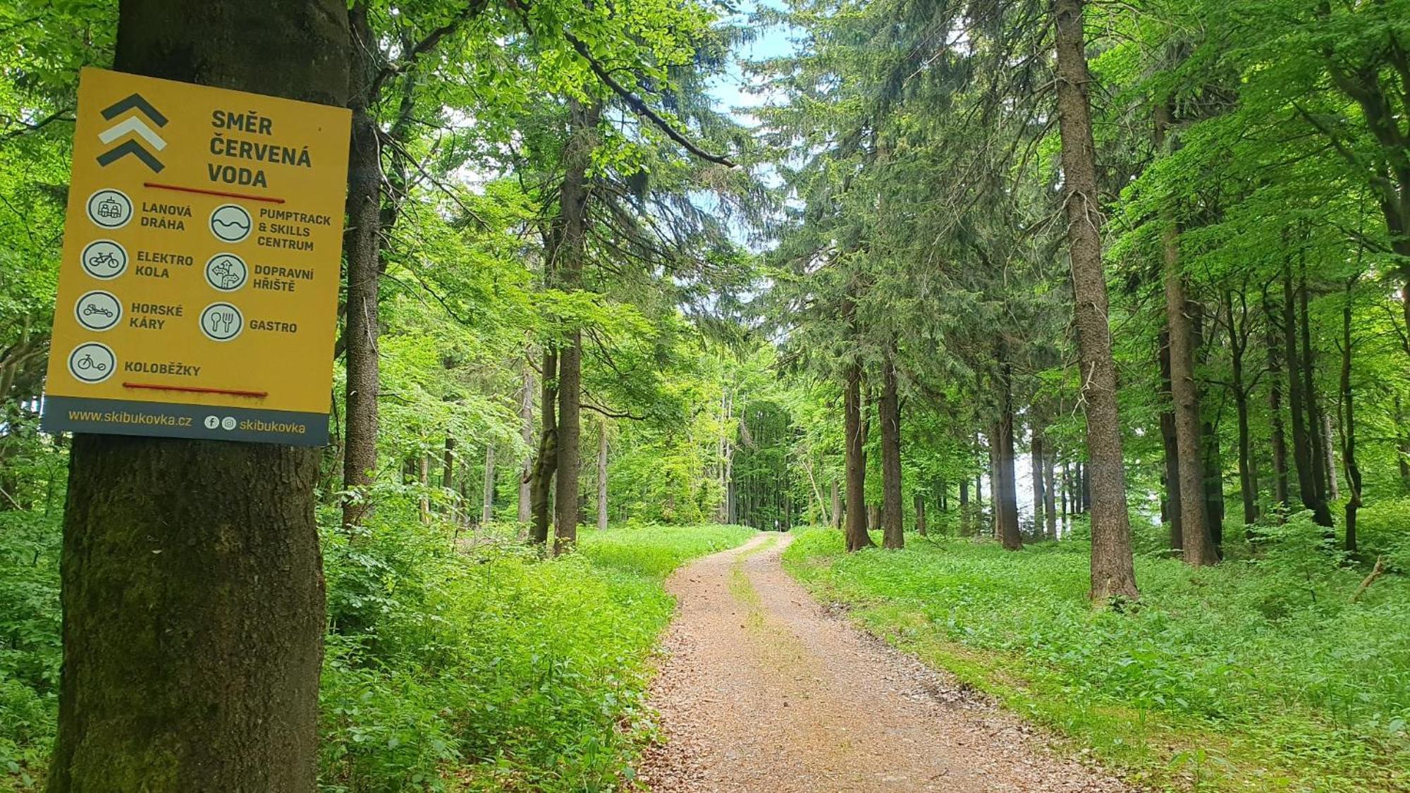 Apartman U Sucheho Buku - Bukova Hora Červená Voda Exterior foto